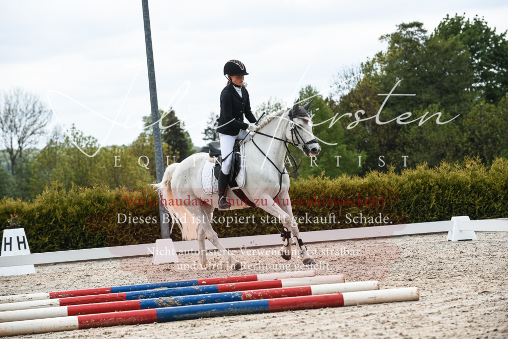 20230518_JK-Röhrsdorf-10-235 | Pferde- und Turnierfotografie in Westsachsen. Pferdeportraits, Auftragszeichnungen und intuitive Kunst.