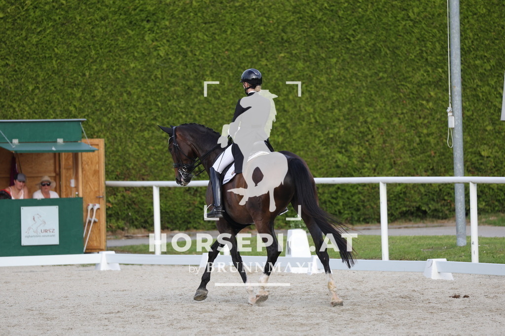 0P6A4289 | Willkommen bei Brunnmayr - Design & Fotografie – Ihrem Spezialisten für Reitturniere und Pferdeveranstaltungen in Oberösterreich, Salzburg und Bayern! Seit über 17 Jahren sind wir leidenschaftlich dabei.