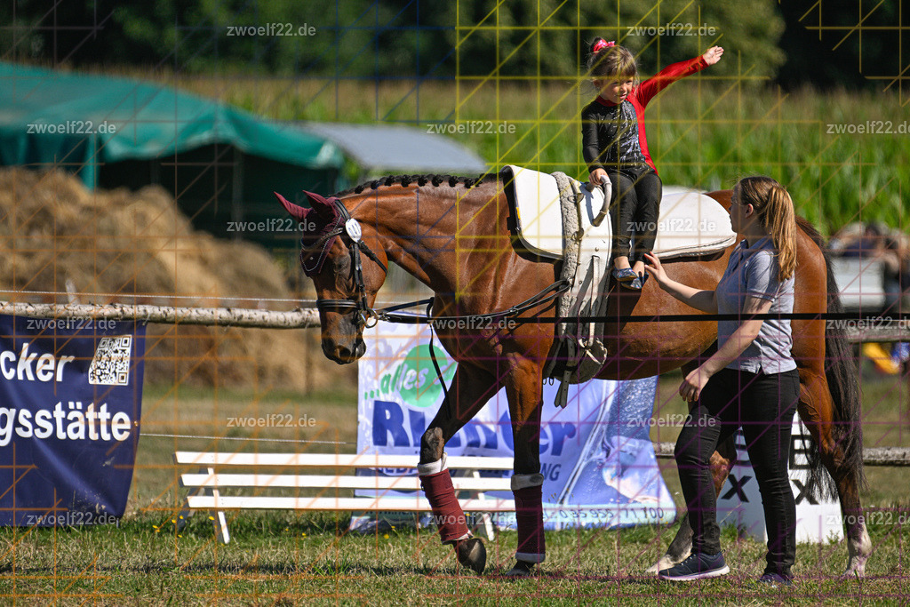 30 Jahre RFV Pulsnitz e.V., Pulsnitz am 09.08.2026 | 30Jahre Reit- und Fahrverein Pulsnitz e.V., Pulsnitz am 08.08.26, Zur 28. breitensportlichen Veranstaltung des RFV Pulsnitz e.V. fanden verschiedene Wettbewerbe in nahezu allen Disziplinen des Pferdesport statt.- Voltigier-Wettbewerb im Schritt - Realisiert mit Pictrs.com