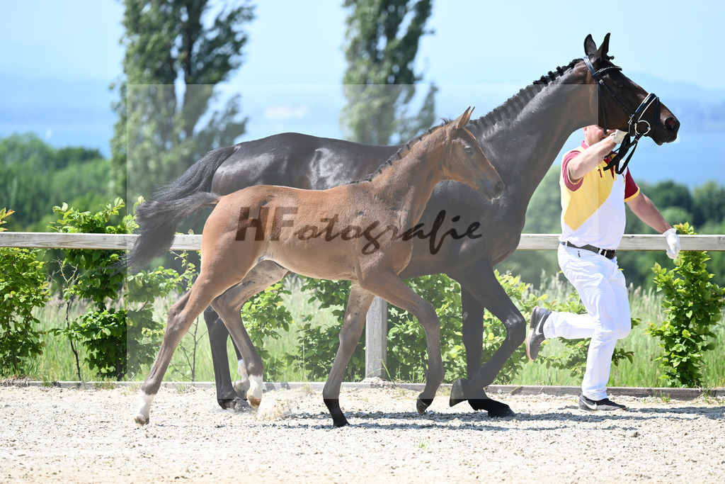 Kat-Nr. 6 SF Escolar_Knott_15230346 | hf-fotografie - Realizzato con Pictrs.com