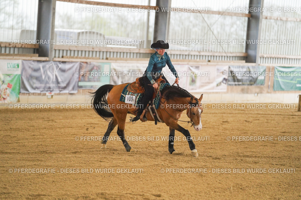 DSC09822 | Pferdegrafie