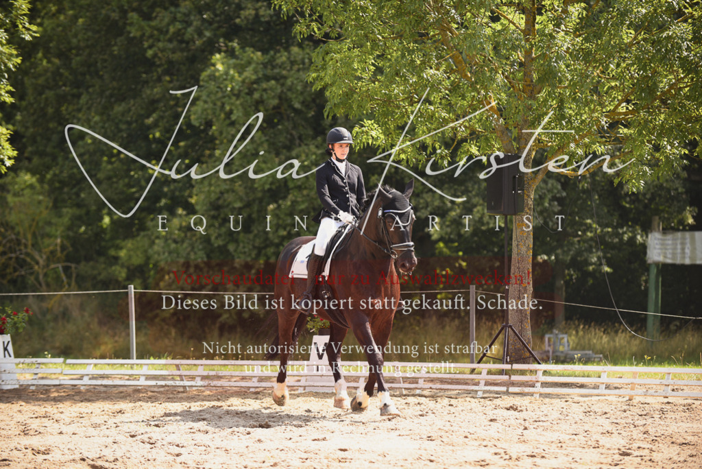 DSC_0671 | Pferde- und Turnierfotografie in Westsachsen. Pferdeportraits, Auftragszeichnungen und intuitive Kunst.