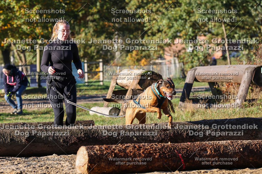 Dog Paparazzi - Strongdog 10-25-1186 | Dog Paparazzi Jeanette Grottendiek Fotografie & Videografie - Realisiert mit Pictrs.com