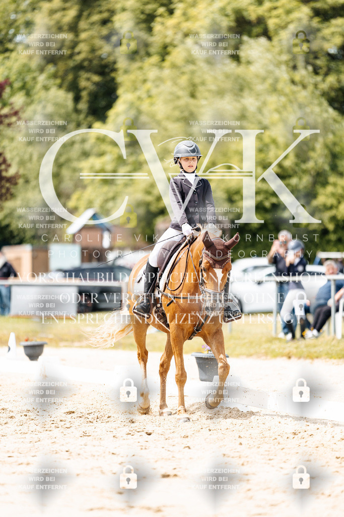 CK902447 | Turnierfotografie Pferdefotografie Trier Rheinland-Pfalz Pferdesport Reitsport Tierfotografie Sportfotografie Pferdevideo Pferdevideografie Equestrianvideography equestrianphotography  - Realisiert mit Pictrs.com