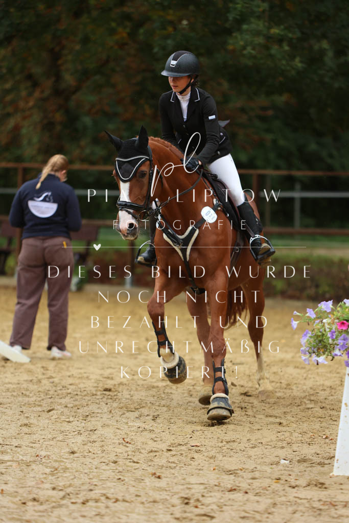 IMGM1543 | pl-fotografie