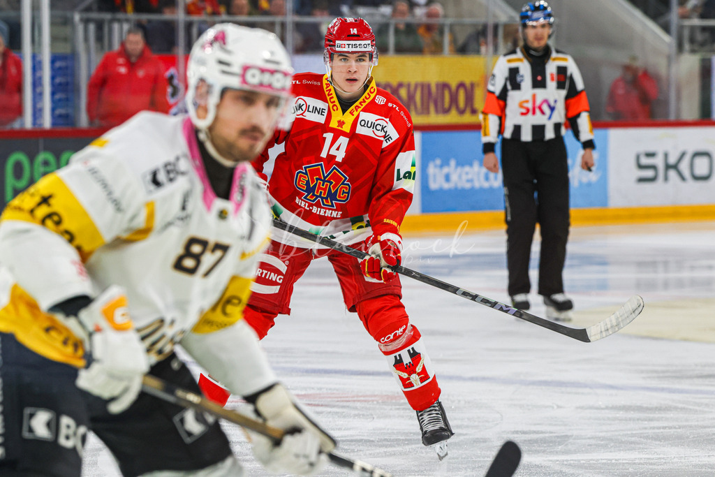 EHCB vs HCA 20260127_wb-9176 | Sportbilder, Sportfotograf, Hochzeits- und Eventfotografin, Flugshows, Portraits und Tiershooting, Aviation, Downhill, Nationalleague, Swissleague, International