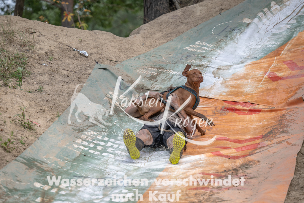 1316_ZZ96267 | kk-dogfotos