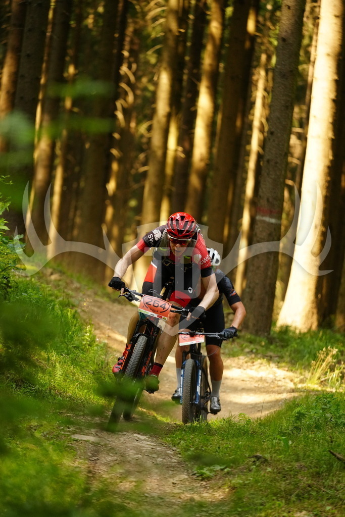 FC102662 | Fotogalerie der Treibjagd im Dunkelwald - Dein MTB Etappenrennen im Erzgebirge - Realisiert mit Pictrs.com