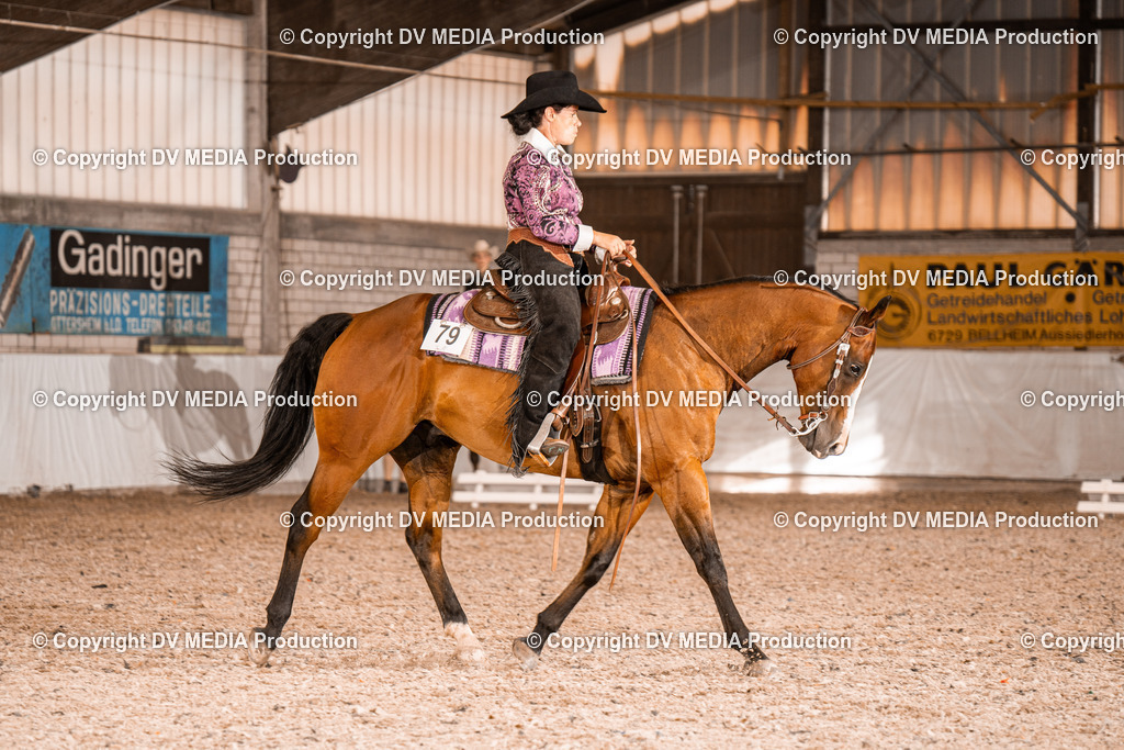 ZH100151 | dv-media-shop - Realisiert mit Pictrs.com