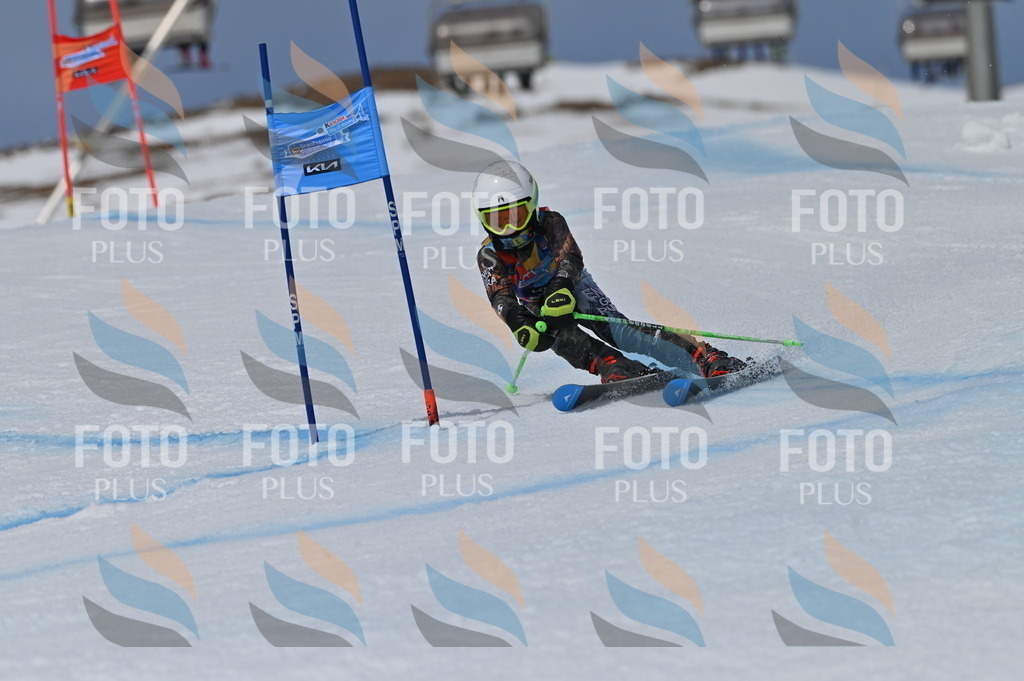 BGV_6955 | holidayphoto