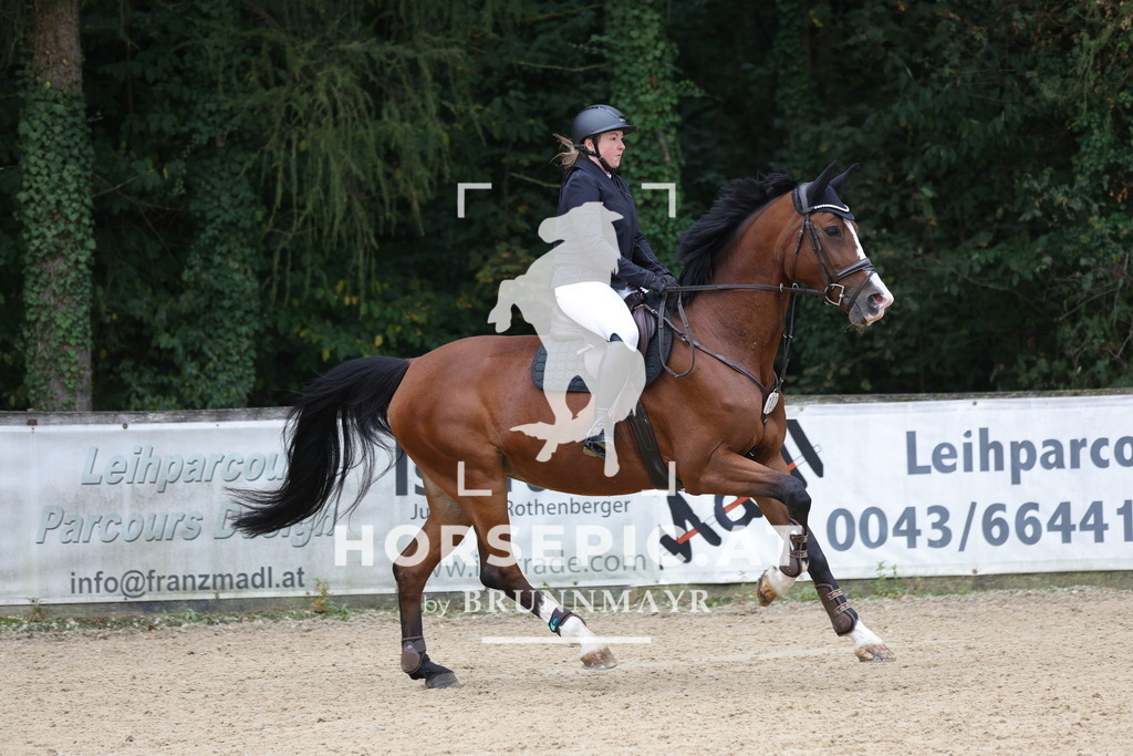 0P6A5480 | Willkommen bei Brunnmayr - Design & Fotografie – Ihrem Spezialisten für Reitturniere und Pferdeveranstaltungen in Oberösterreich, Salzburg und Bayern! Seit über 17 Jahren sind wir leidenschaftlich dabei.
