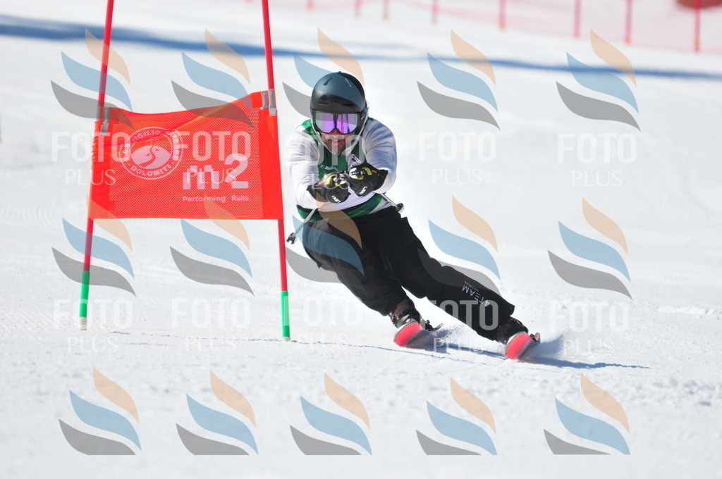 C4433 | holidayphoto