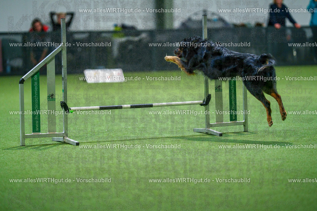 7R503968 | Professionelle Tierfotografie in Mönchengladbach von Daniel Wirth (allesWIRTHgut). Liebevolle & natürliche Bilder von Hunden & Katzen für unvergessliche Erinnerungen.