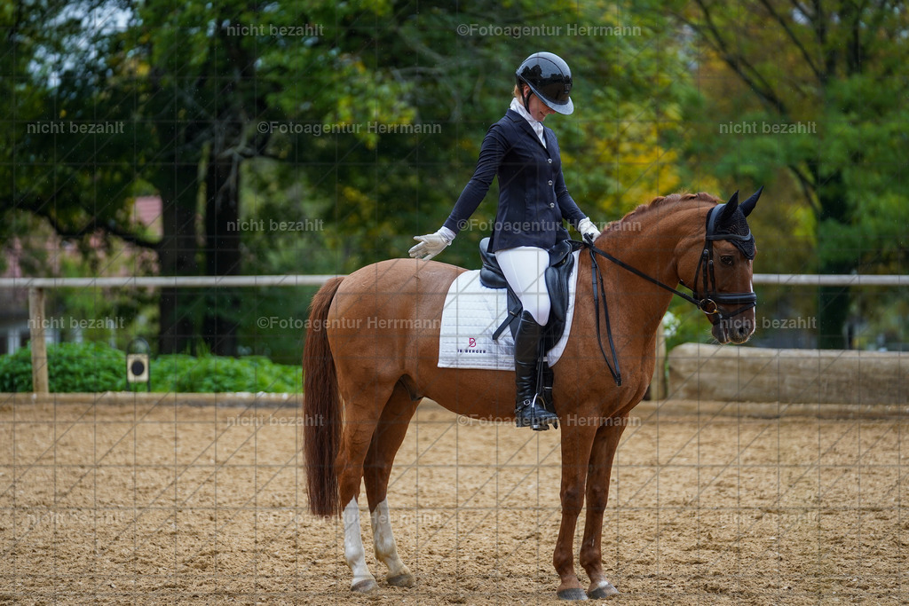 20221008-FAH01857 | Diessen am Ammersee, 2022, Dressur- und Springturnier, Reitsportbilder, Turnierfotografen Bayern, Pferdefotografen, Fotoagentur Herrmann, Turnierbilder