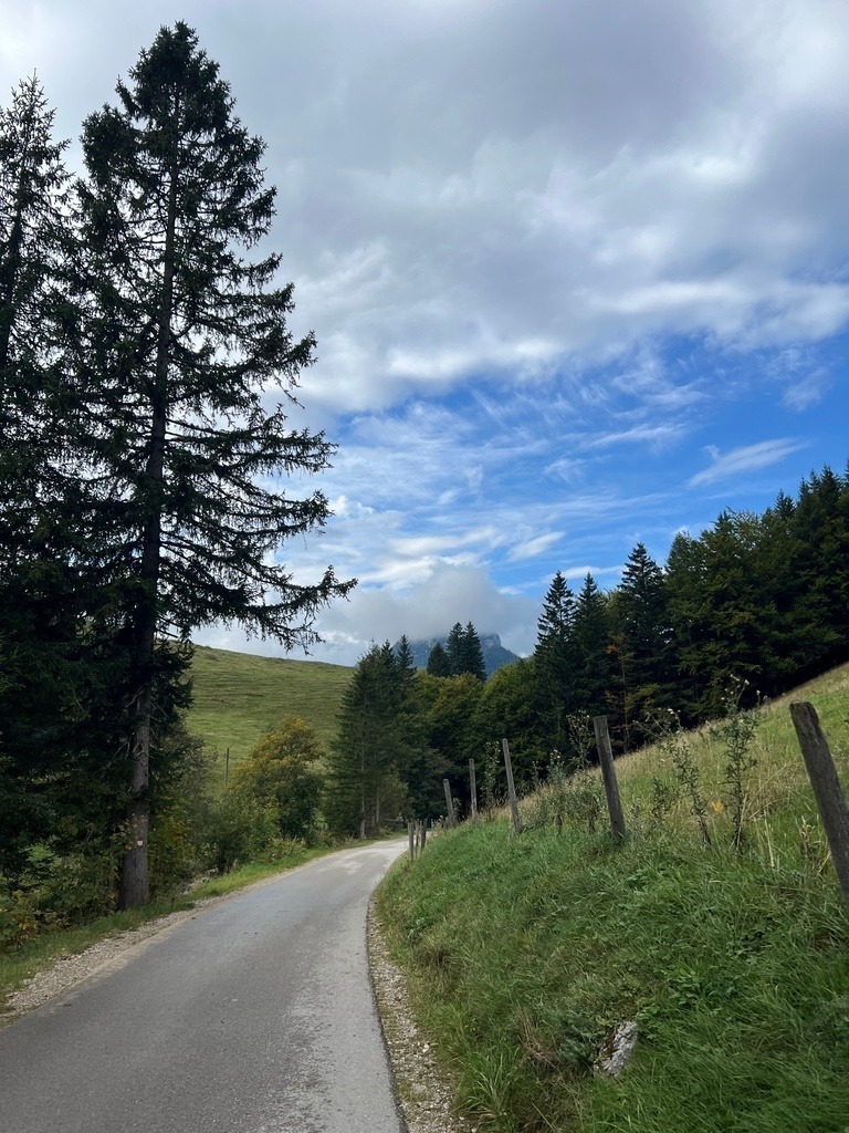 IMG_8644 | ace - Realisiert mit Pictrs.com