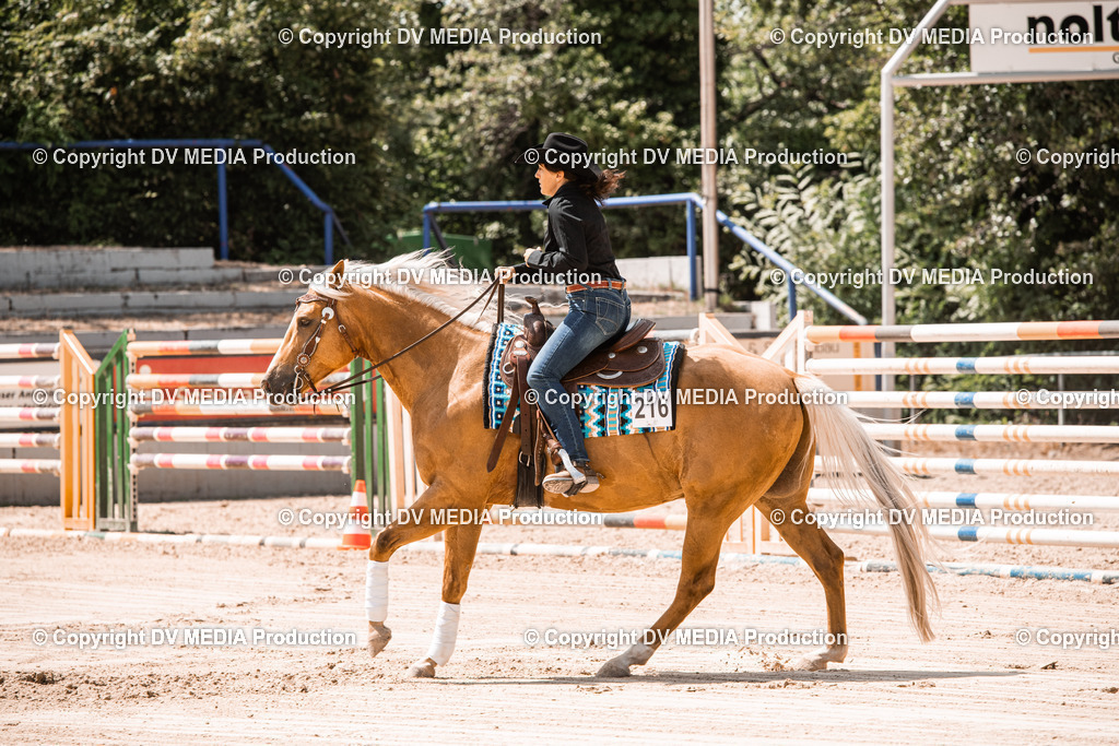 ZS3_0053 | dv-media-shop - Realisiert mit Pictrs.com