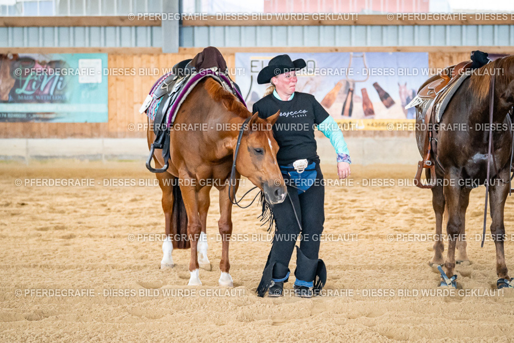 DSC09460 | Pferdegrafie