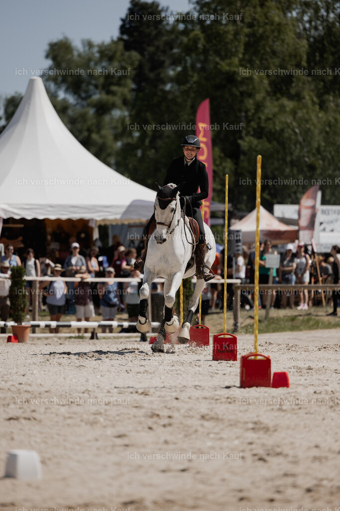 WE_SP_Stoib_312_PI2025_1645 | Pferd International München 2025