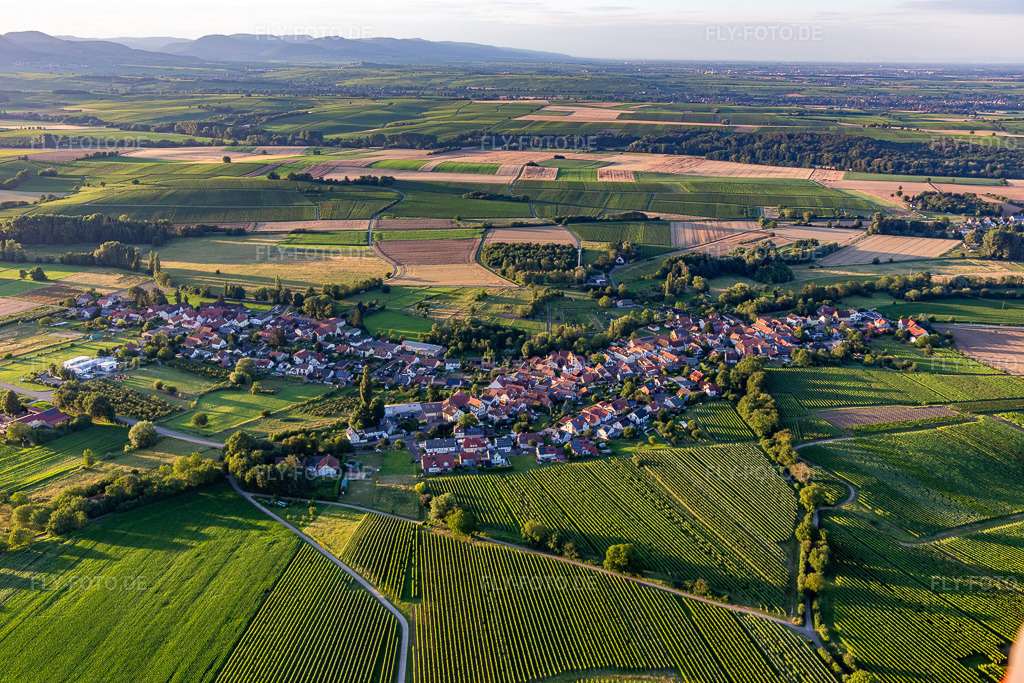 Luftbild: Ortsansicht von Süden in Oberhausen im Bundesland Rheinland-Pfalz in Deutschland. Foto: IMG_142405.jpg vom 08.07.2024 durch Werner Riehm/FLY-FOTO.de