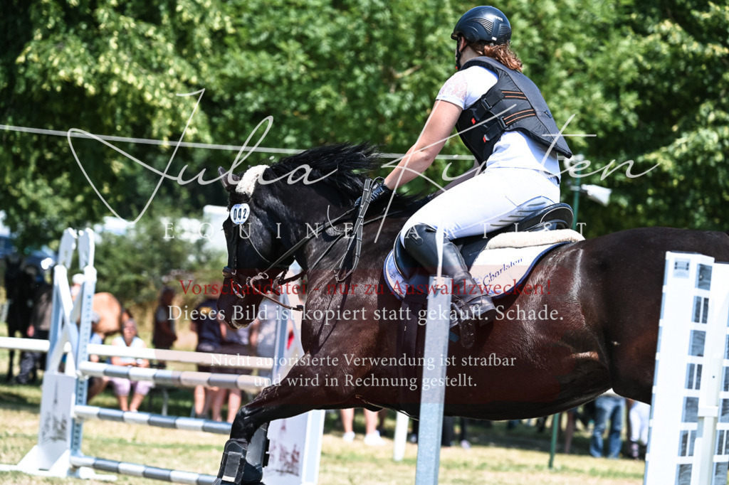 DSC_0413 | Pferde- und Turnierfotografie in Westsachsen. Pferdeportraits, Auftragszeichnungen und intuitive Kunst.