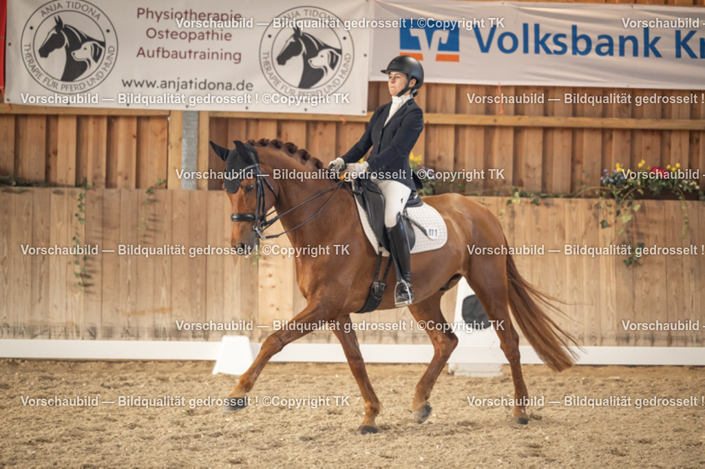 _D5A3177 | Emotionale Pferde- & People-Fotografie rund um Heidelberg, Leimen & Umgebung. Natürliche Fotos von Pferd, Mensch & Familie. Jetzt Termin sichern!