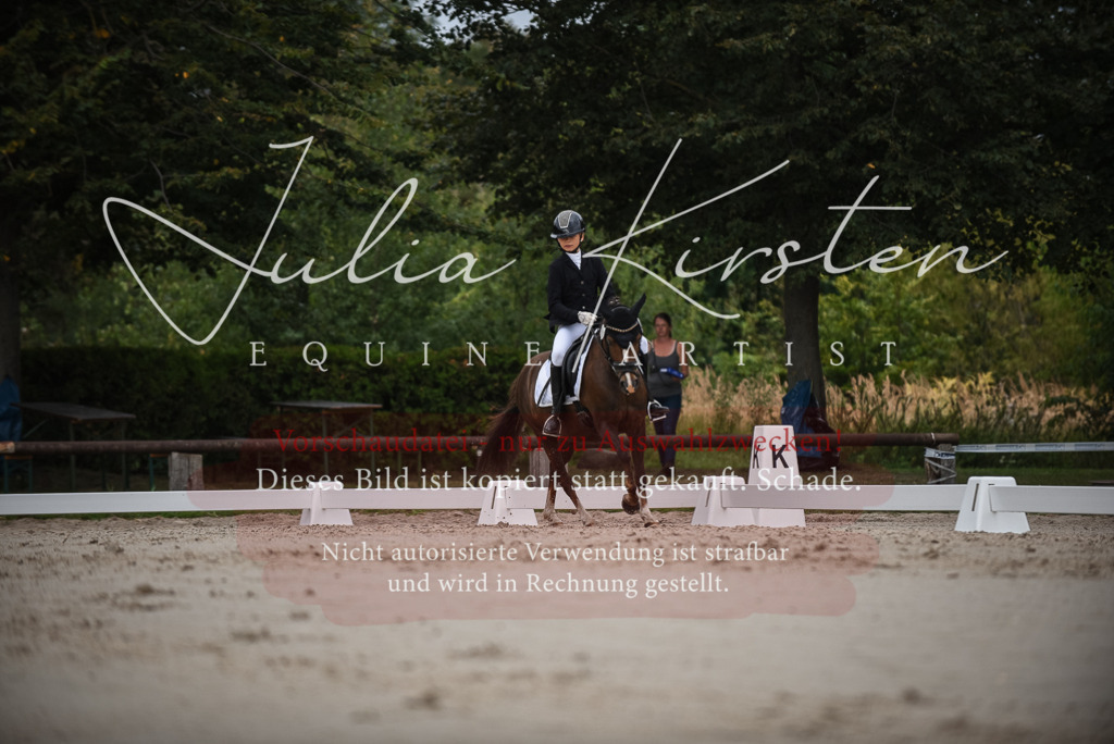DSC_8144 | Pferde- und Turnierfotografie in Westsachsen. Pferdeportraits, Auftragszeichnungen und intuitive Kunst.