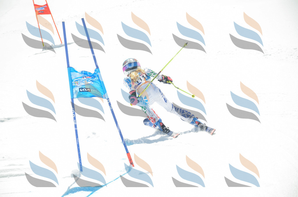 _ELE5906 | holidayphoto