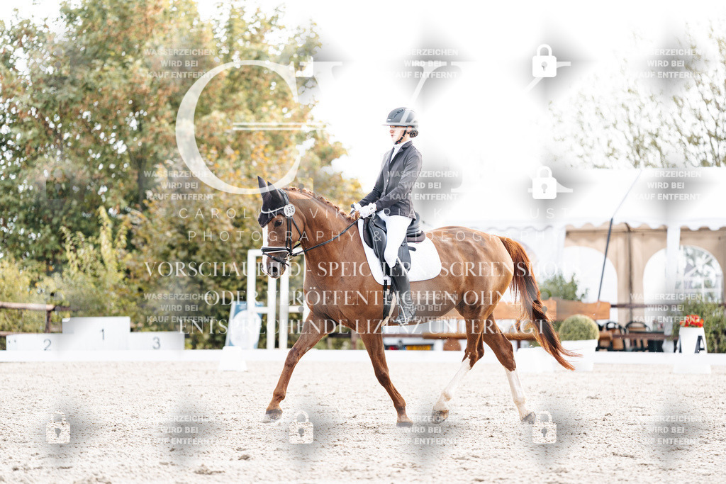 CK900521 | Turnierfotografie Pferdefotografie Trier Rheinland-Pfalz Pferdesport Reitsport Tierfotografie Sportfotografie Pferdevideo Pferdevideografie Equestrianvideography equestrianphotography  - Realisiert mit Pictrs.com