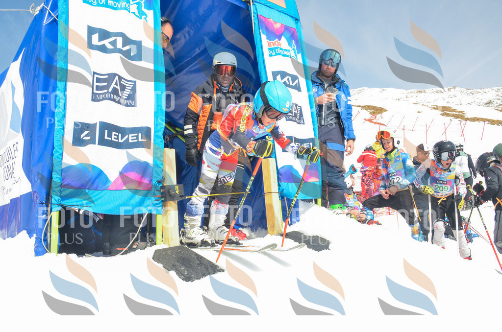 _ELE6957 | holidayphoto