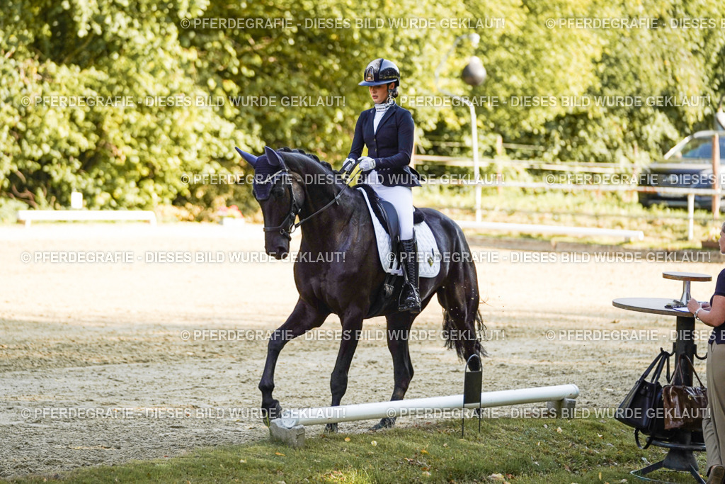 DSC06307 | Pferdegrafie