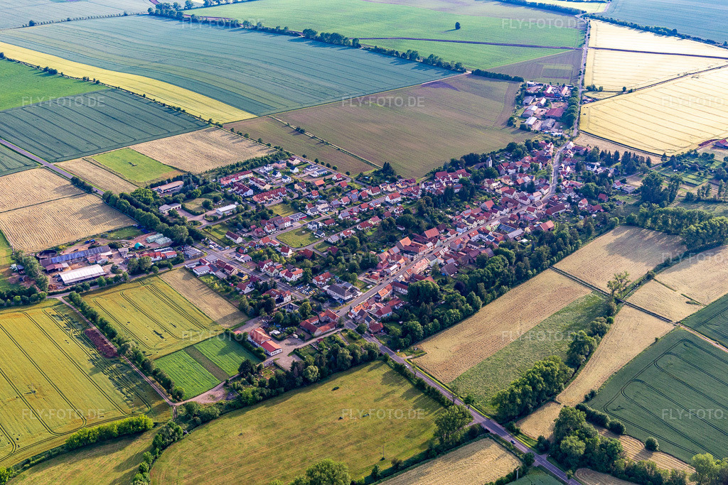 Luftbild: Ortsansicht im Ortsteil Westhausen in Nessetal im Bundesland Thüringen in Deutschland. Foto: IMG_007646.jpg vom 15.06.2021 durch Werner Riehm/FLY-FOTO.de