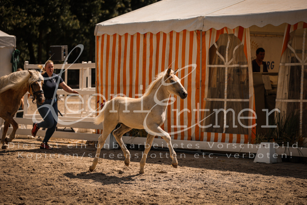 06.DoH00126 | Leoni Ertmer Photography - Realisiert mit Pictrs.com