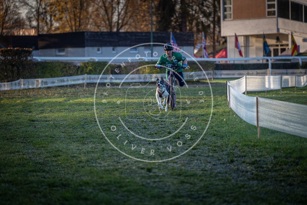 CaniXpix_0L8A1828 | Hundefotografie, Tierfotograf, Pfotenfotografie, Fotoshooting Hund, Hunde Portrait, Hundesport, Hundeportraits, Heideshooting, Hunde, Sportfotograf, Hundefotograf, Turnierhundsport, THS,  - Realisiert mit Pictrs.com