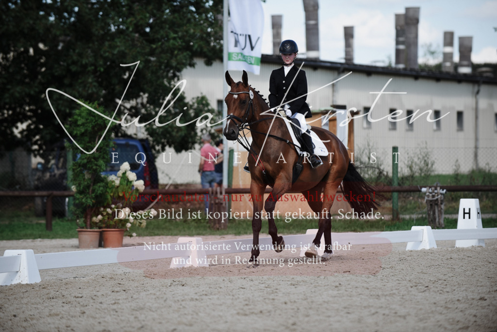 DSC_9988 | Pferde- und Turnierfotografie in Westsachsen. Pferdeportraits, Auftragszeichnungen und intuitive Kunst.