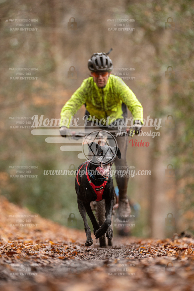 SPA_2023_DIM_Bike-43 | PayLife