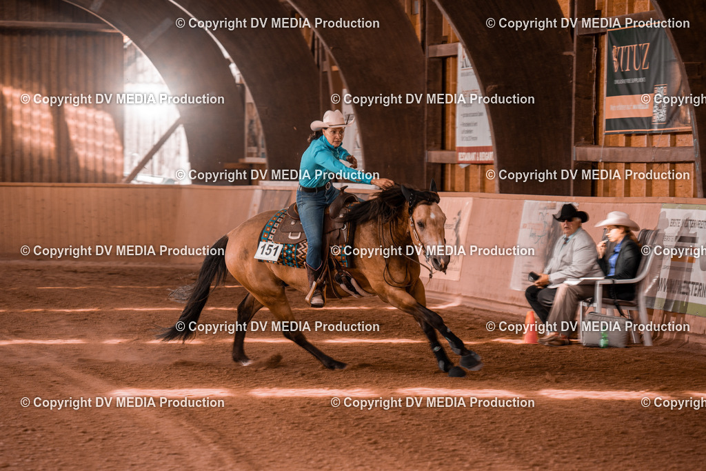 NE300681 | dv-media-shop - Realisiert mit Pictrs.com