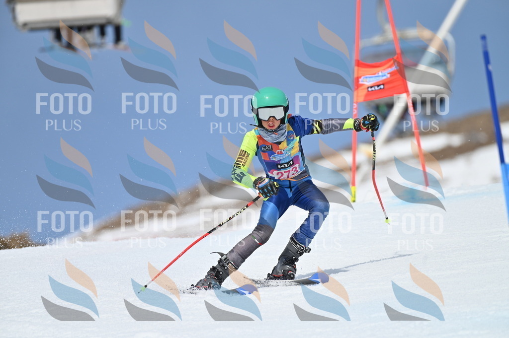 BGV_2310 | holidayphoto