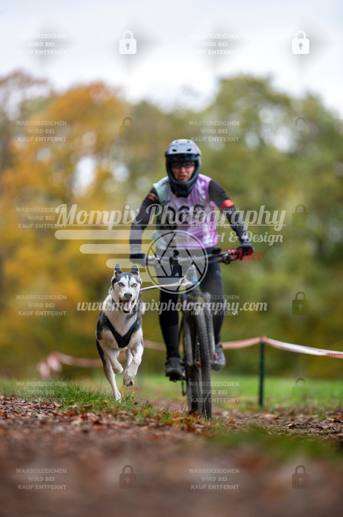DBT_DAKM_SA_4_11_2023_Bike-98 | PayLife
