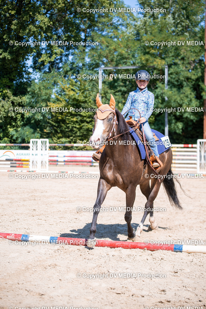 ZS1_0933 | dv-media-shop - Realisiert mit Pictrs.com