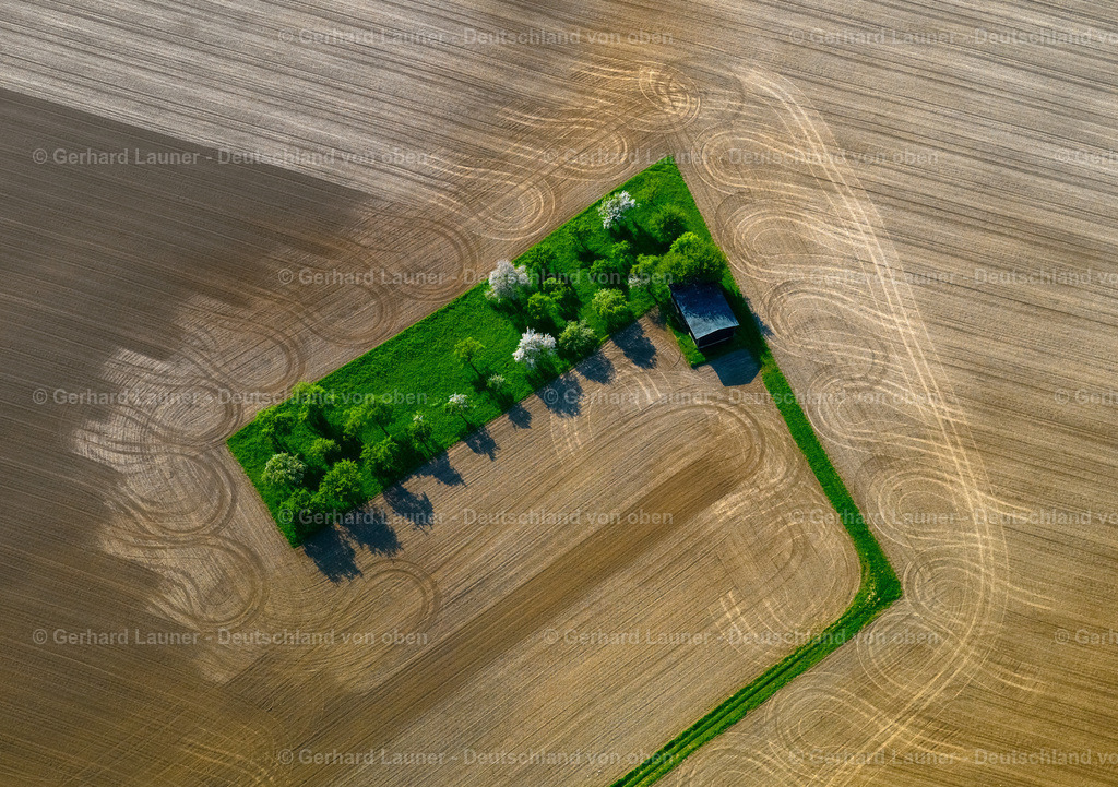 2865901 | Baum- Feldstruktur bei Wilsdorf