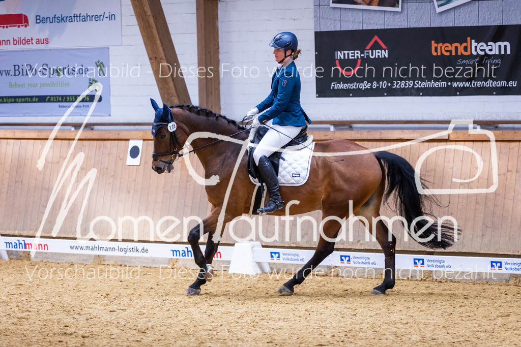 Sth-A-Dre-2St-100 | MomenTaufnahmen Pferdesportfotos