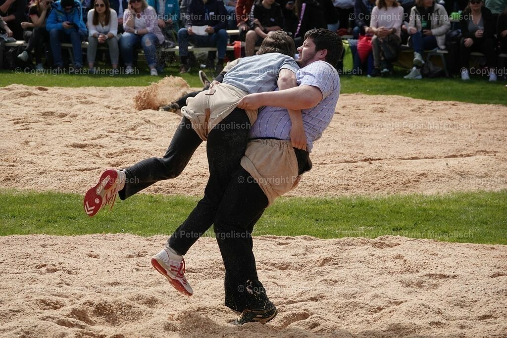 k-DSC03061 | Schwingen - Realisiert mit Pictrs.com