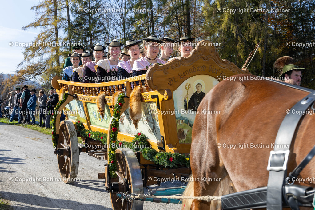 LBT24-1373 | foto-bettina-krinner - Realisiert mit Pictrs.com