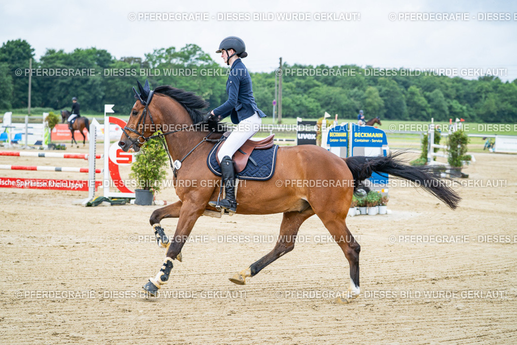 DSC03419 | Pferdegrafie