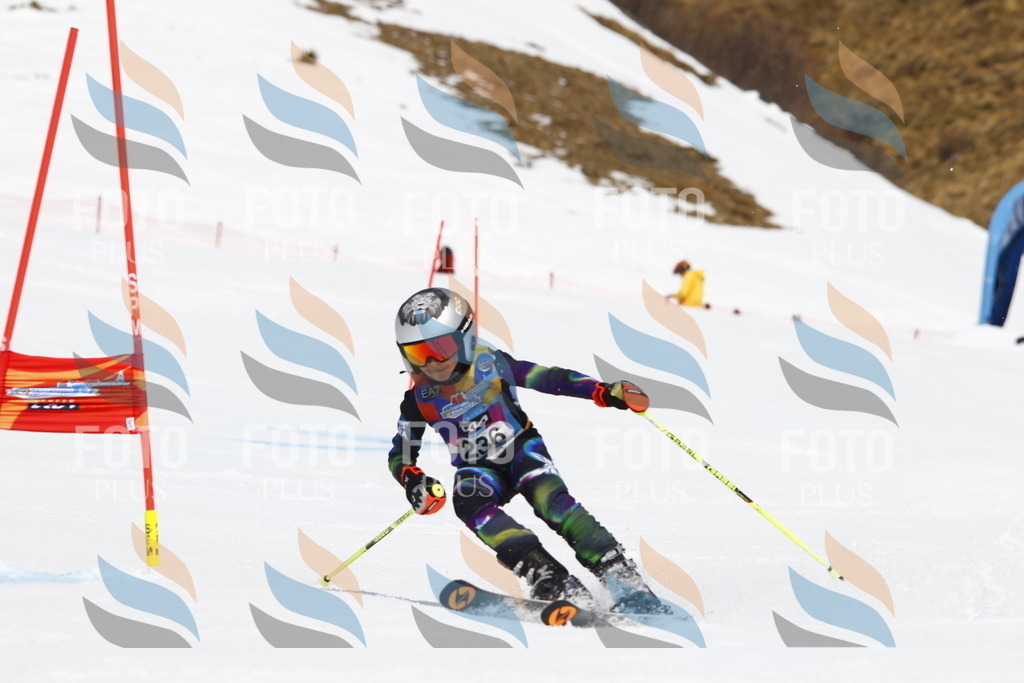 _U3G6011 | holidayphoto