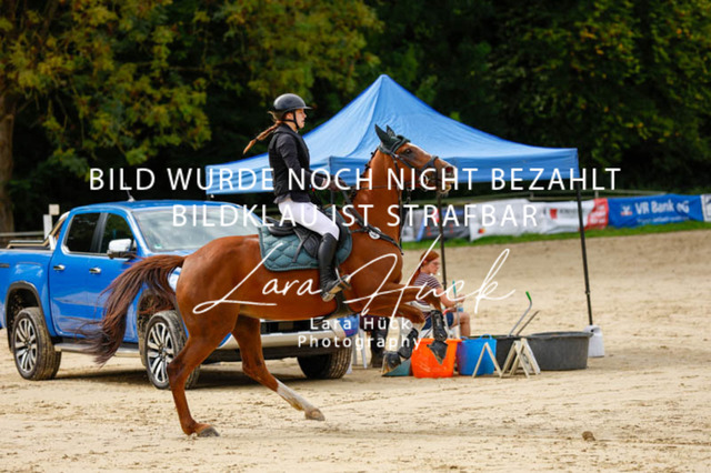 _62_9169 | larahueckfotografie