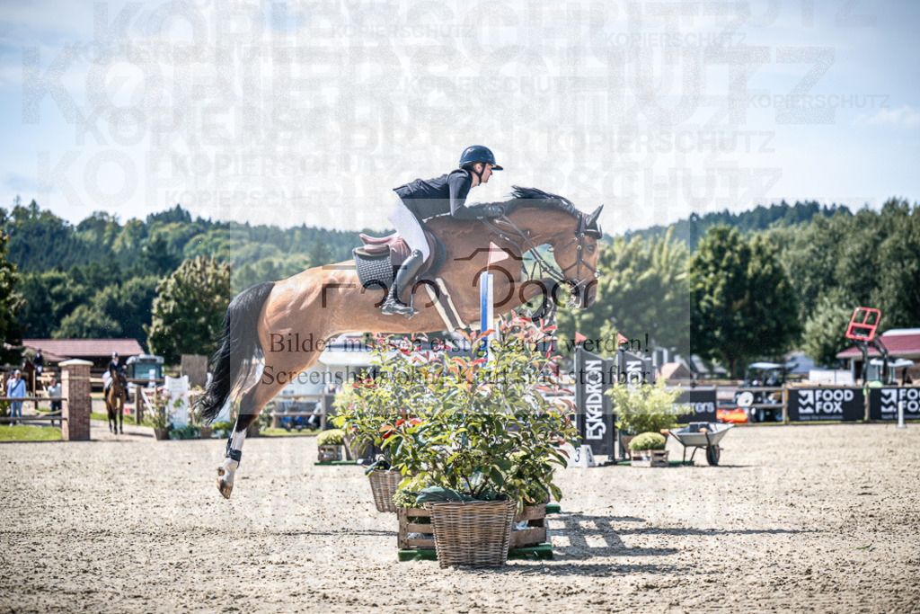 DOS_5492 | Entdecke hochwertige Reitturnierfotos von Foto Oger. Professionell, emotional und authentisch – jetzt Lieblingsmomente im Shop bestellen.Deutschlandweite Turnierfotografie. - Realisiert mit Pictrs.com
