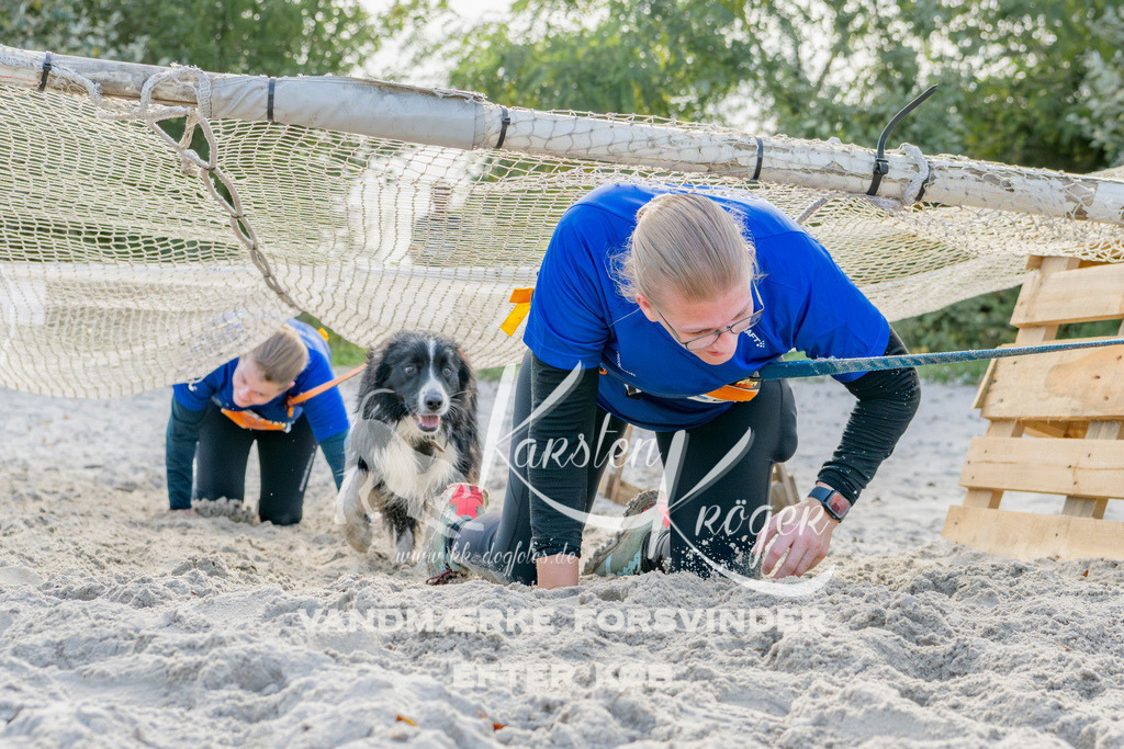 1246_ZZ93302 | kk-dogfotos