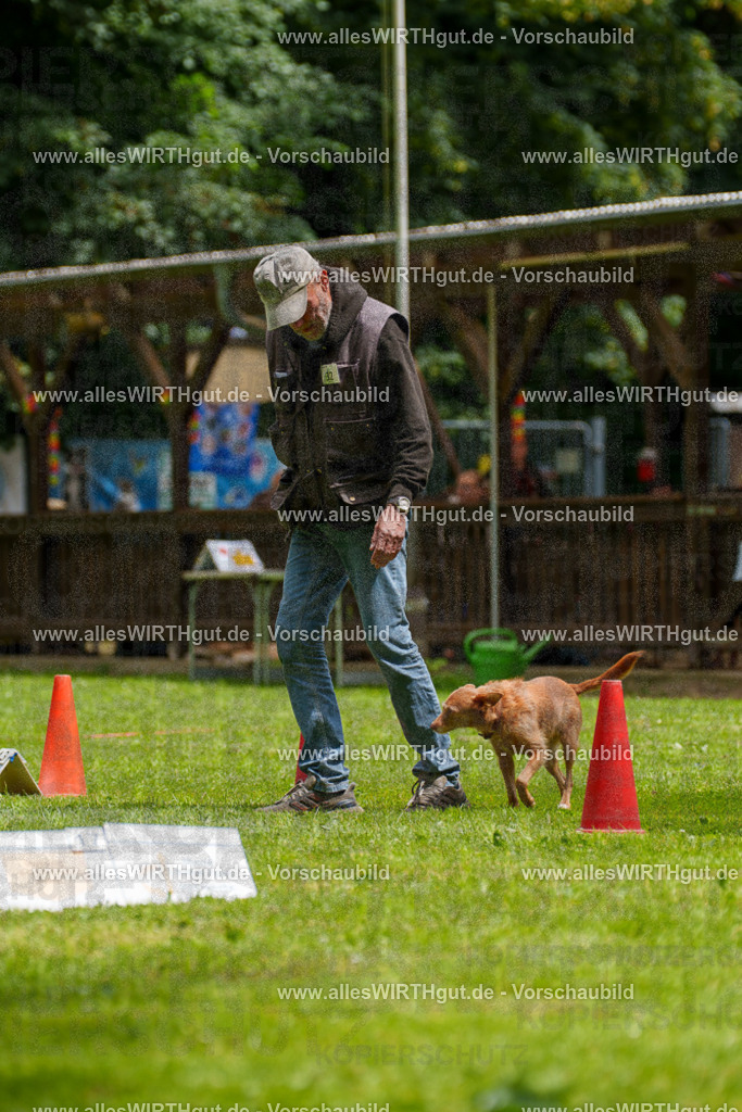 @allesWIRTHgut_Tierfotografie - www.allesWIRTHgut.de - 121711-7R508794 | Professionelle Tierfotografie in Mönchengladbach von Daniel Wirth (allesWIRTHgut). Liebevolle & natürliche Bilder von Hunden & Katzen für unvergessliche Erinnerungen.