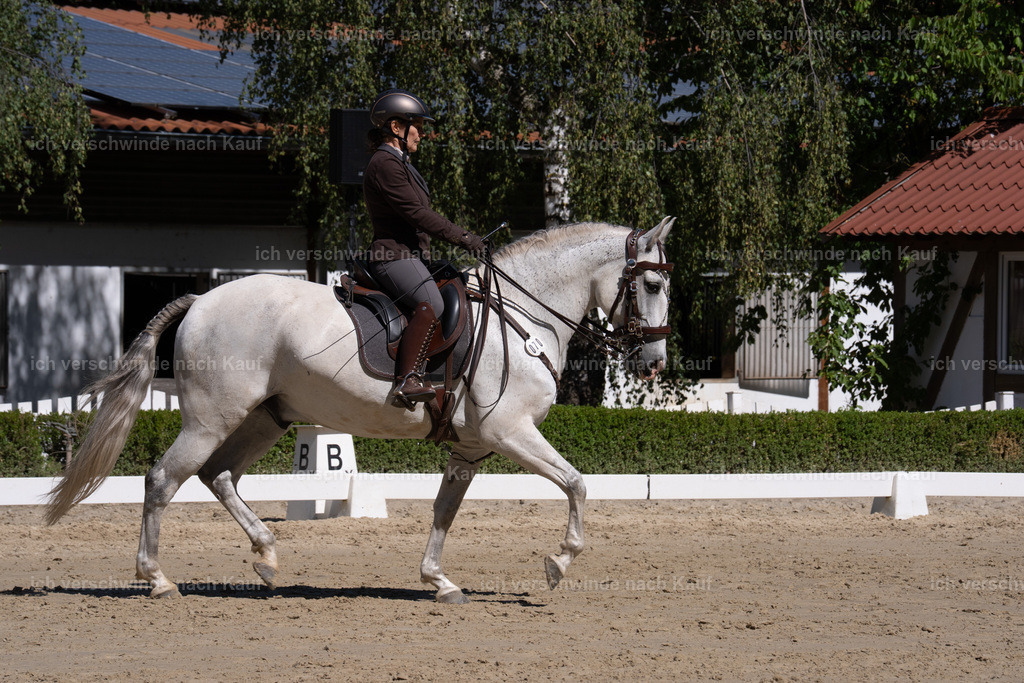 WL_DR_70_sinafilmart_IN07348 | working equitationturnier fotograf videograf stoibphotography marixx film working equitation deutschland reitsport turnierfotografie eventfotografie equestrian events